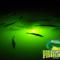 Underwater Fish Light LLC